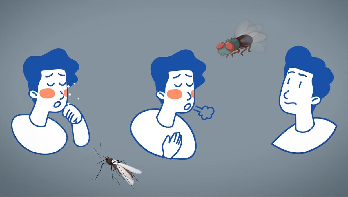 Ճանճեր, մոծակներ, տաք լոգանք․ միֆեր կորոնավիրուսի մասին