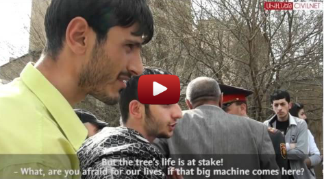 Mashtots Park Update: Trees being uprooted