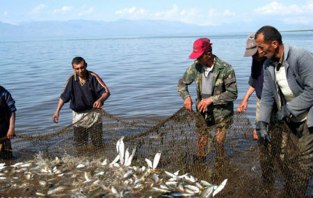 Դեկտեմբերի 8-25-ը արգելվել է Սևանա լճում ձկան և խեցգետնի որսը
