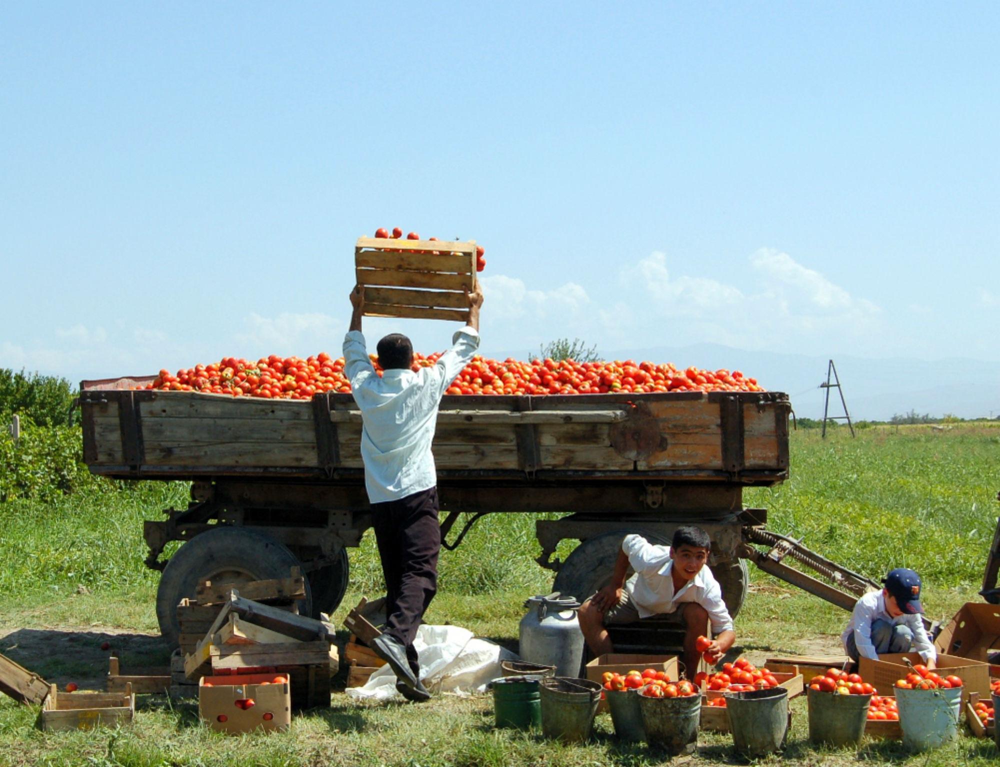 PODCAST: Armenia's Economic Future