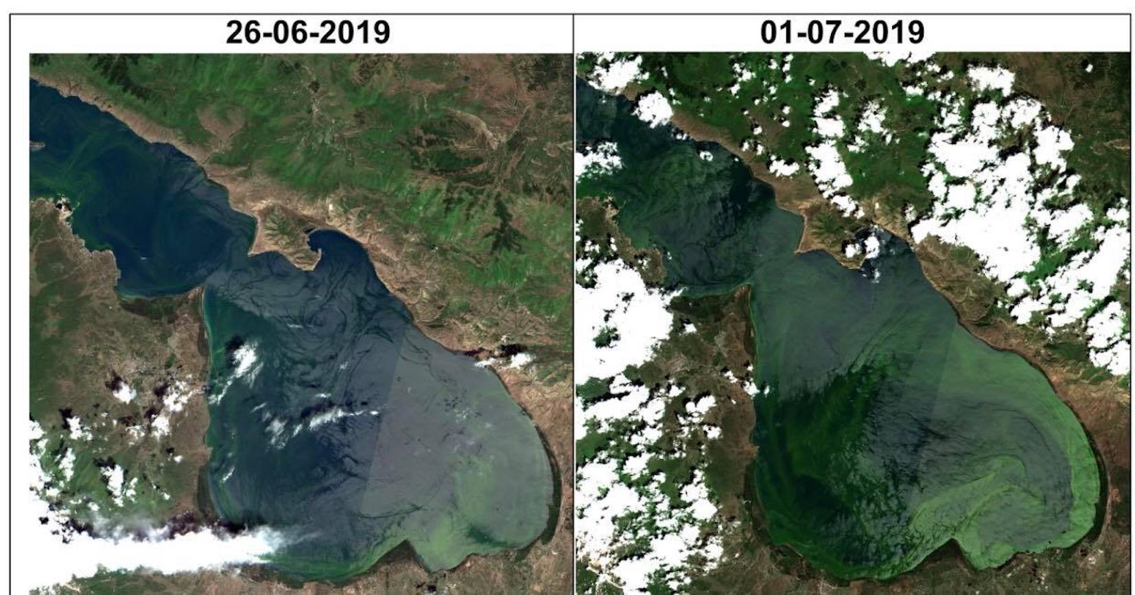 Armenia’s Lake Sevan Faces Serious Threat from Algae Bloom