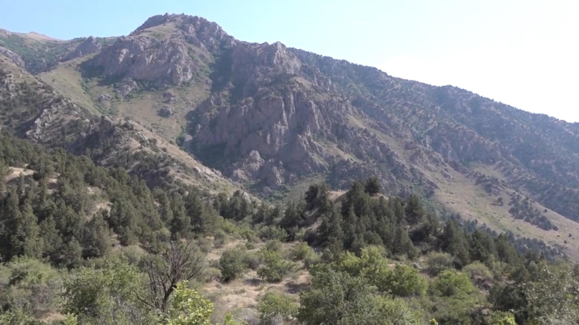 Forest Summit Takes Place in Armenia