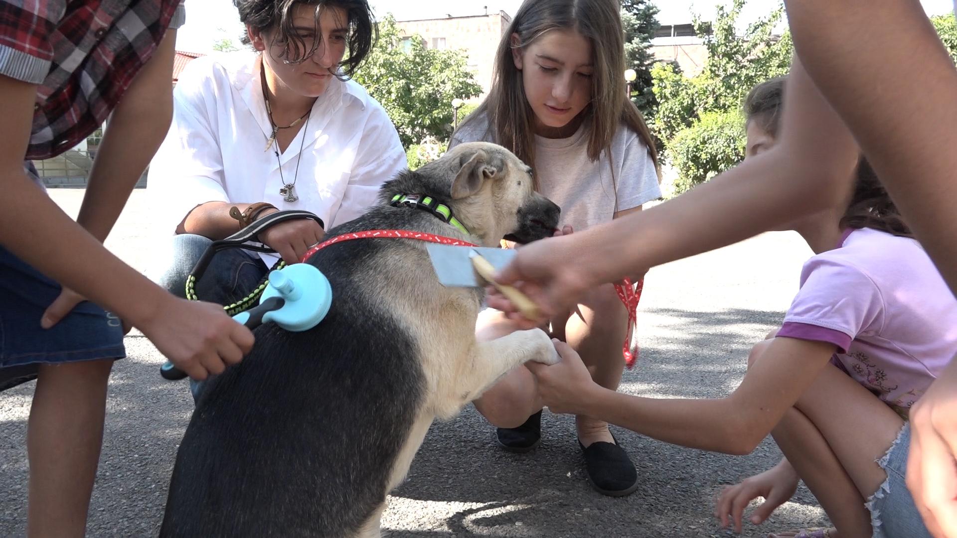 Oknooshoon: Bringing Dog Therapy to Armenia