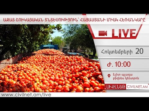 LIVE. Ազատ շուկայական տնտեսություն՝ Հայաստանի միակ հեռանկարը