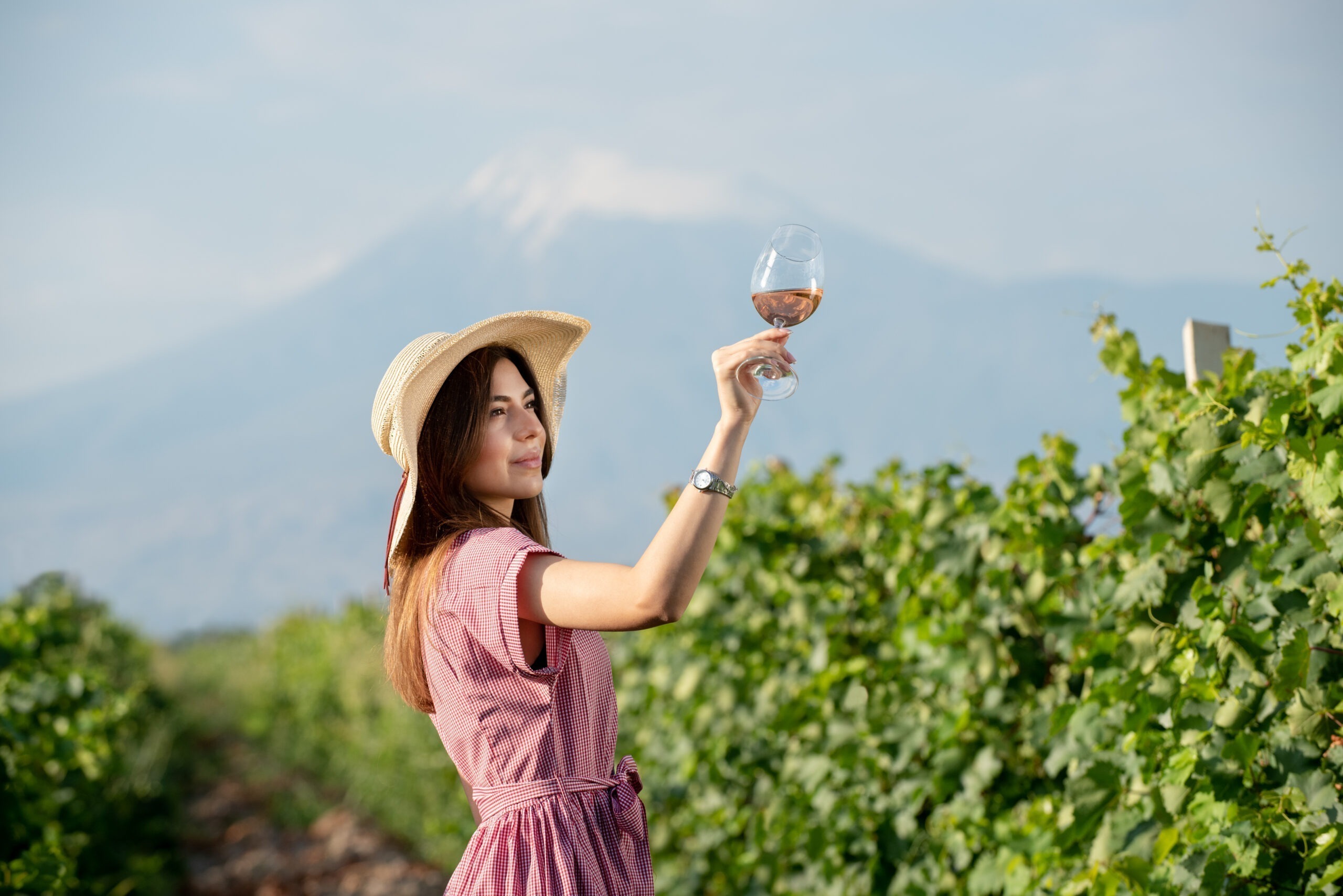 Winé – Syrian Armenian and Women Touches in Winemaking. Gohar Gharibyan