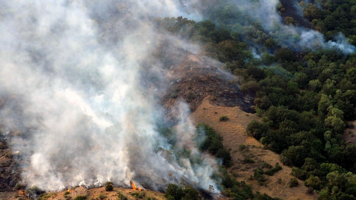 «Խոսրովի անտառում» հրդեհ է բռնկվել