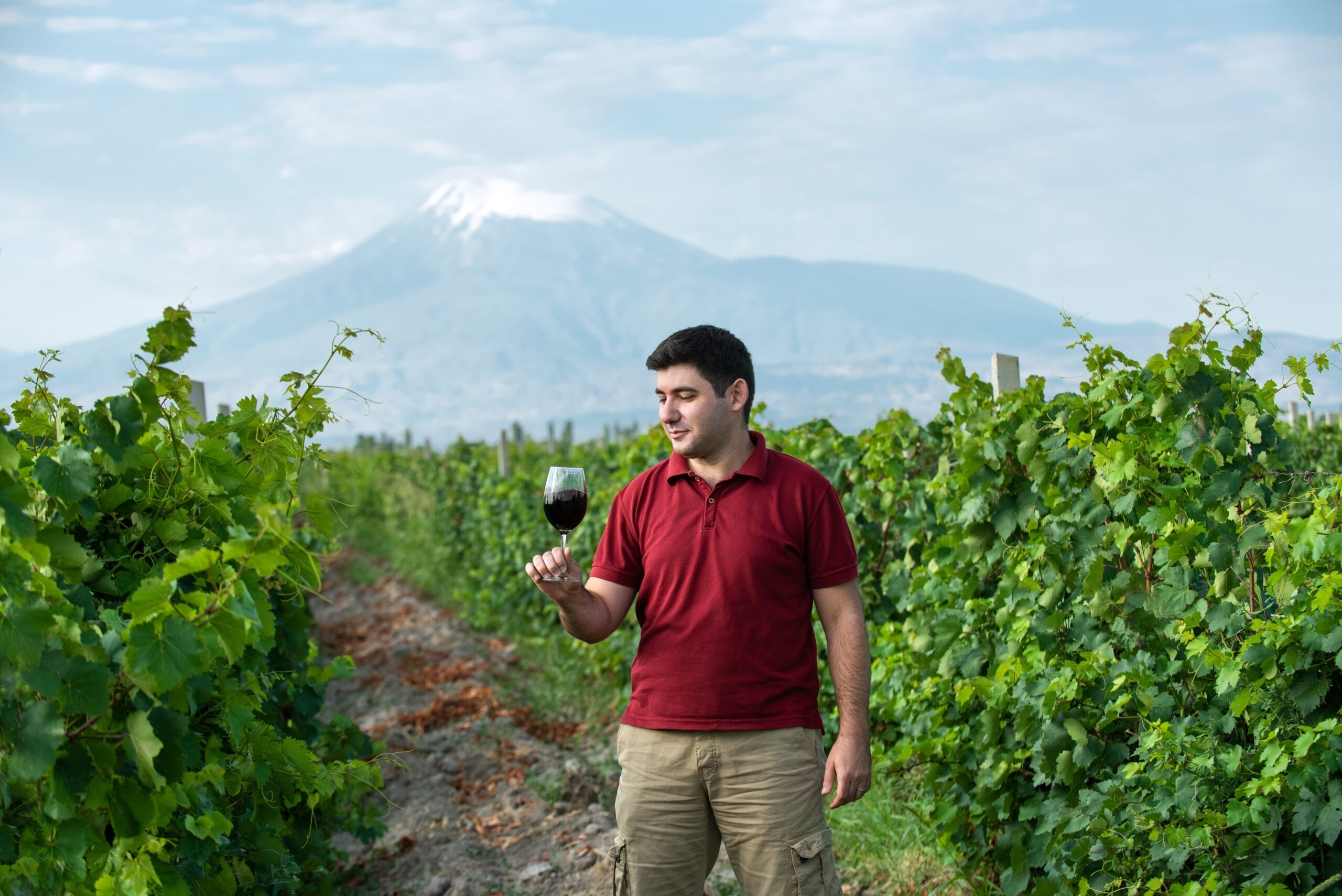 Winé – Syrian Armenian and Women Touches in Winemaking. Hagop Kazanjian