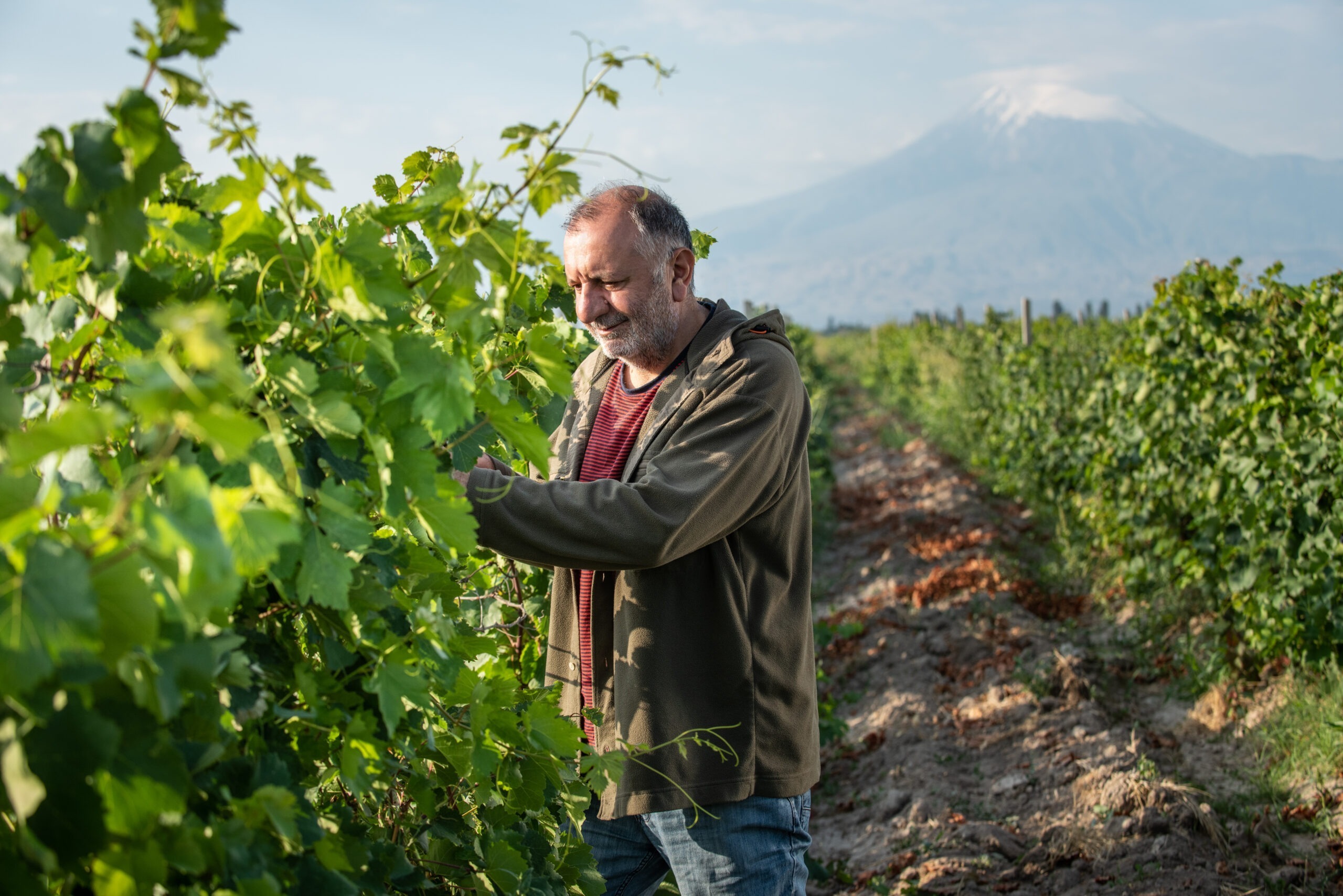 Winé – Syrian Armenian and Women Touches in Winemaking. Sarkis Yazdjian