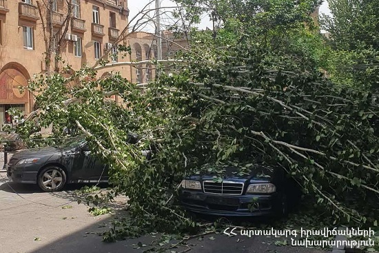 Քամու հետևանքով Երևանում վնասվել են տանիքներ, մեքենաներ, ծառեր