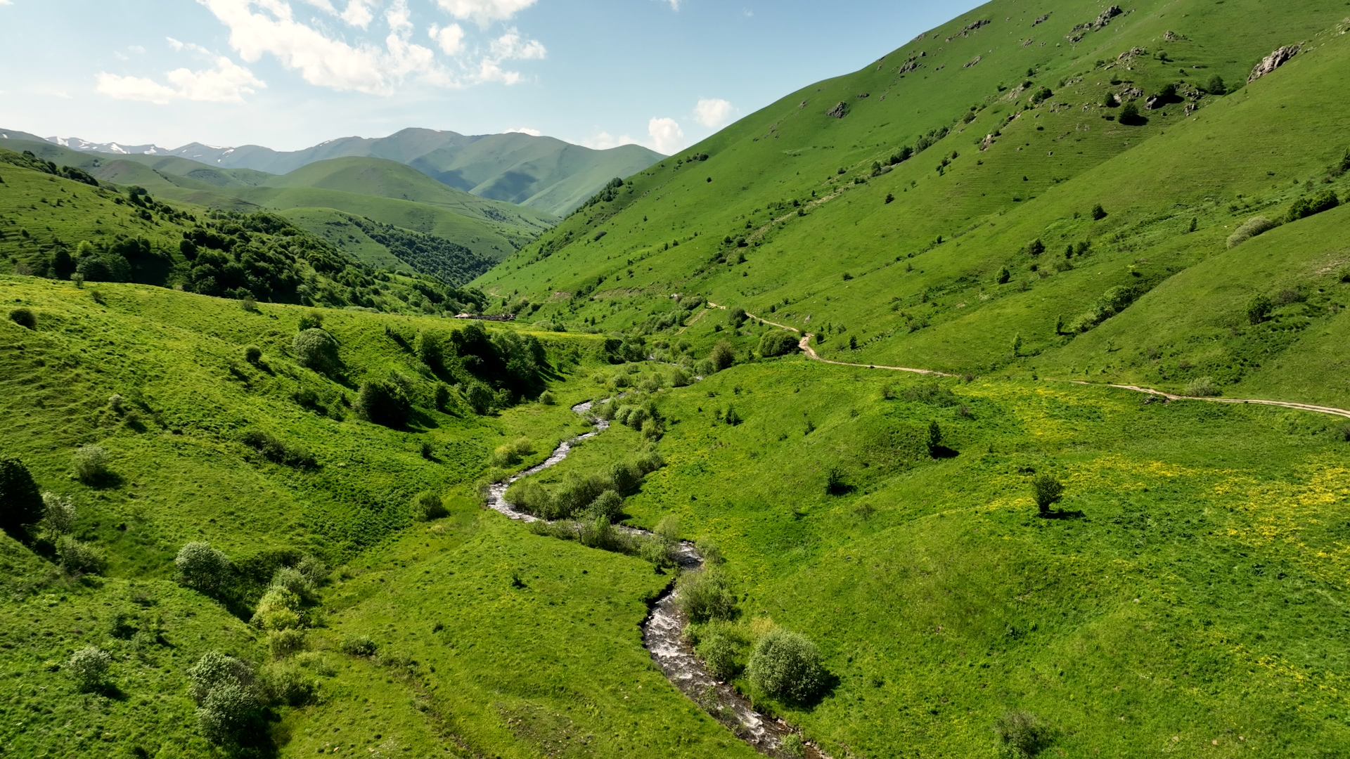 Անտառներով՝ ընդդեմ Հայաստանի անապատացման