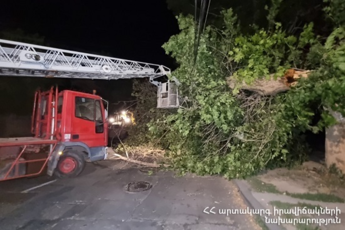 Քամու հետևանքով Երևանում և Աբովյանում վնասվել են տանիքներ, մեքենաներ, կոտրվել են ծառեր