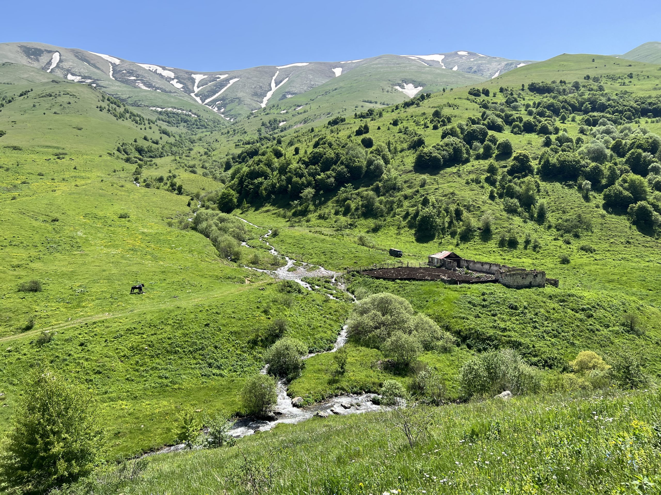 Armenia looks to reforestation to combat climate change