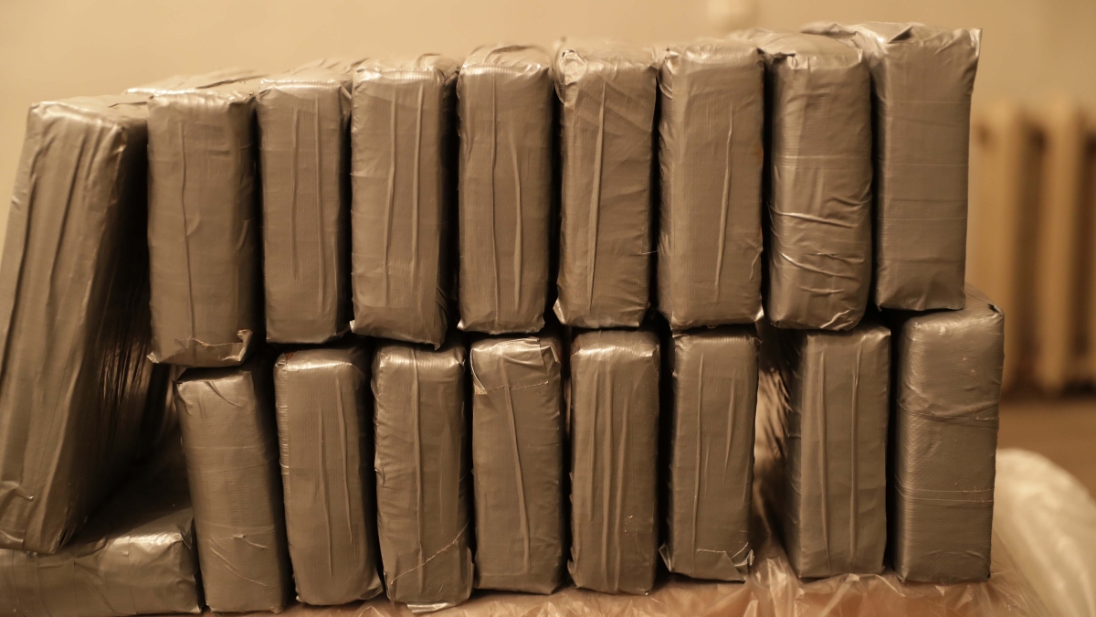 Armenian law enforcement makes record cocaine bust