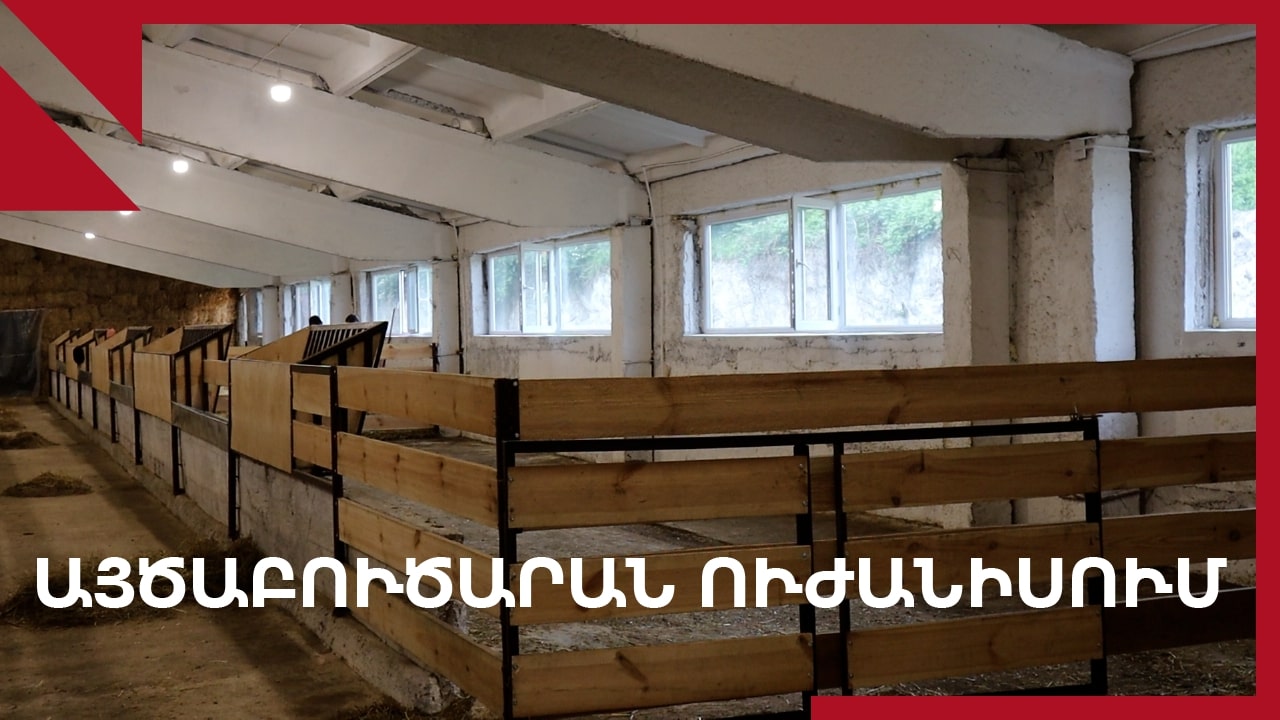ԱՅԾԱԲՈՒԾԱՐԱՆ ՈՒԺԱՆԻՍՈՒՄ 2 THUM