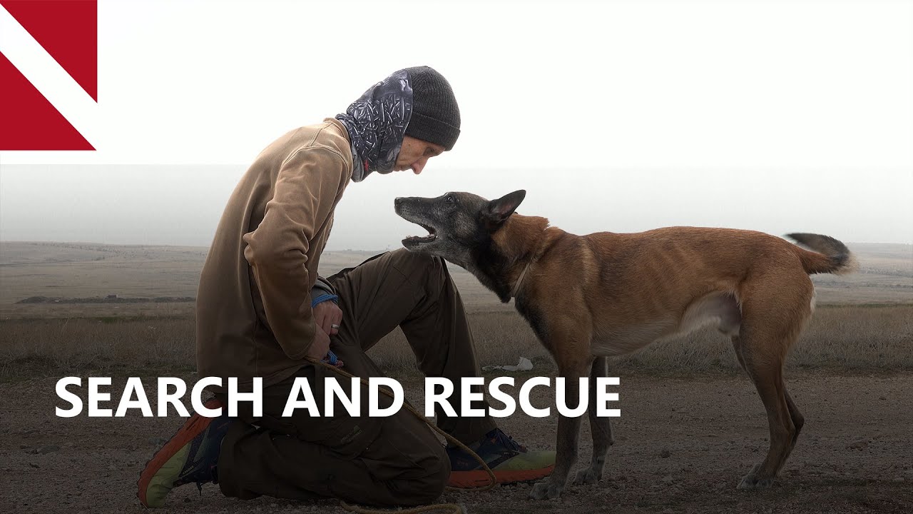 Paws In Action: Training Dogs For Search And Rescue