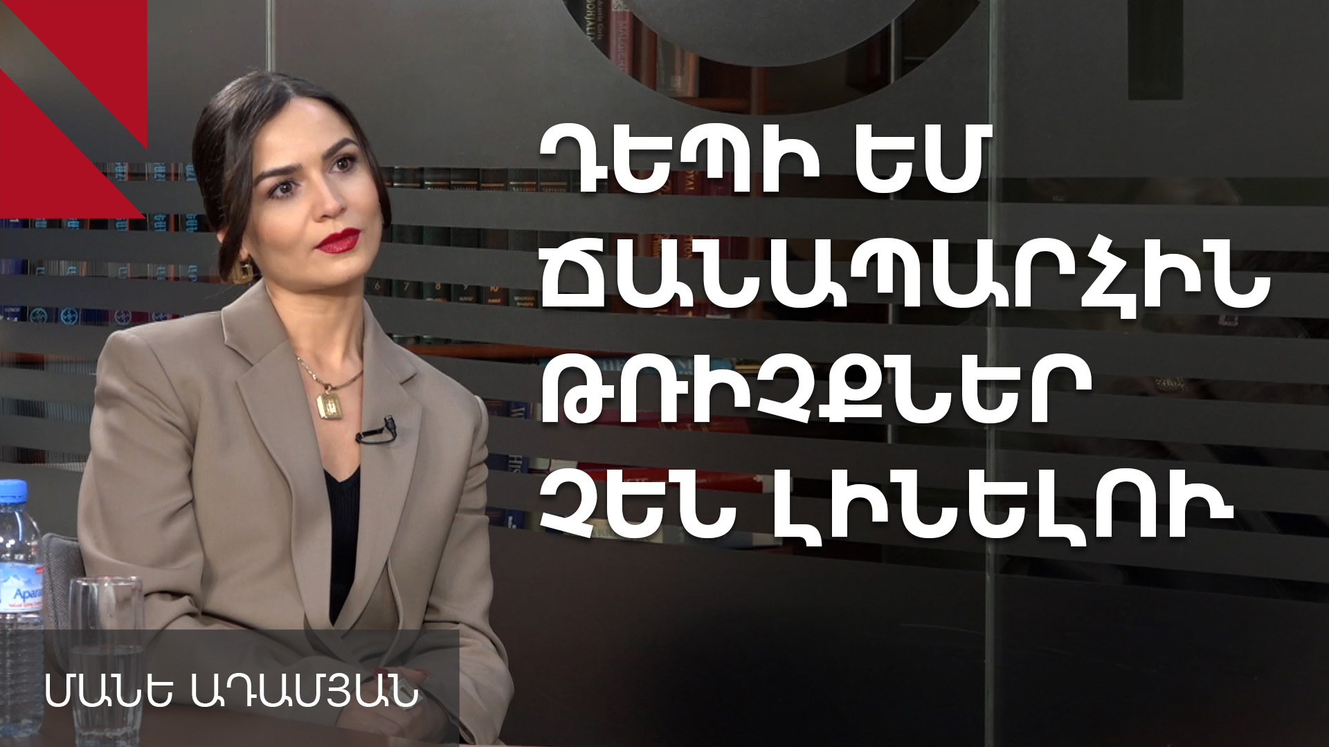 Ապրիլի 5-ի Բրյուսելի հանդիպումը փողի մասին չէր. Մանե Ադամյան