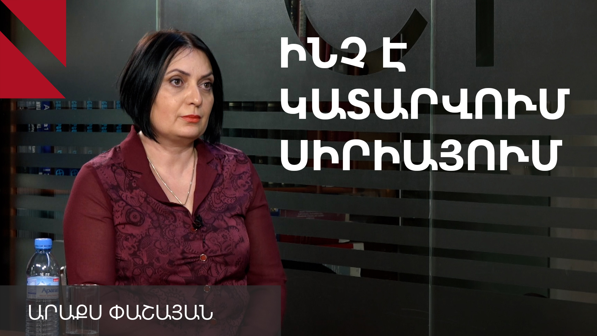 Ի՞նչ նպատակներ են հետապնդում Հալեպը գրաված զինյալները. զրույց Արաքս Փաշայանի հետ