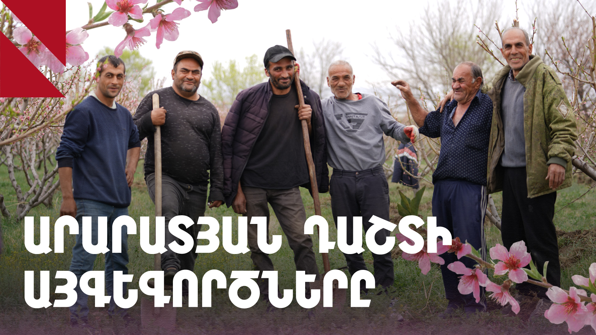 Բուրաստան, Քաղցրաշեն. այգեգործները պատրաստվում են լավ բերքի