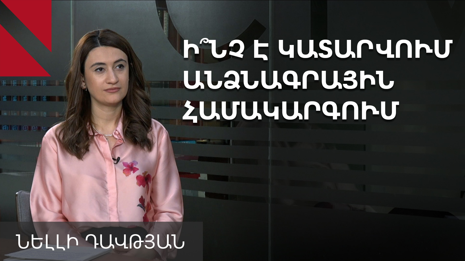 ID քարտերի համար հերթերի թաքնված պատճառները. զրույց Նելլի Դավթյանի հետ