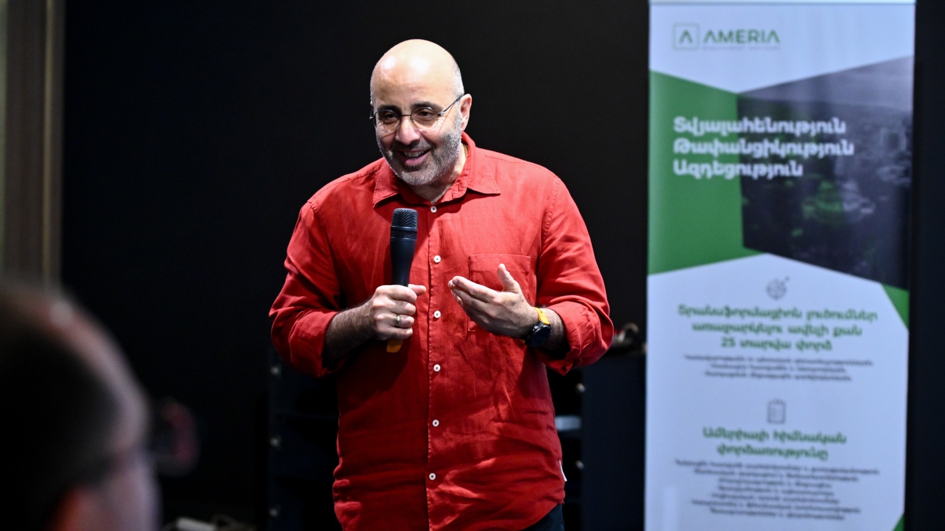 Economist warns Armenia’s power-grid nationalization could trigger costly arbitration battles