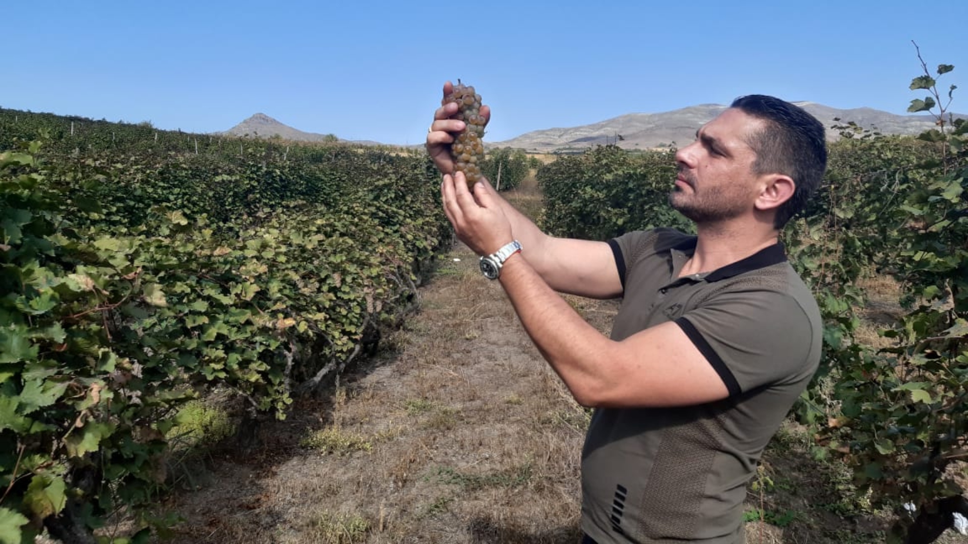 De Bandol à Areni: Le pari d’un œnologue visionnaire franco-arménien