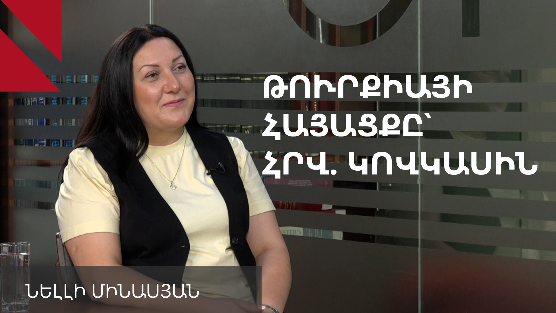 Հայաստան-Ադրբեջան գործընթացը Թուրքիայի հովանավորությա՞մբ է տեղի ունենում. զրույց Նելլի Մինասյանի հետ